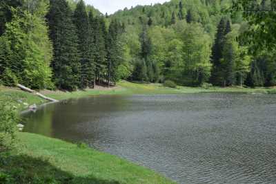 Torkul Yaylası ve Göleti